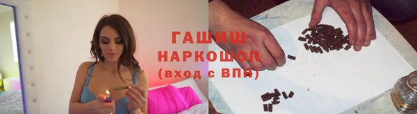 стаф Алзамай