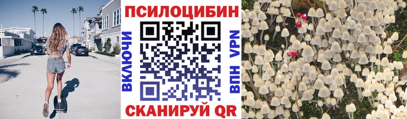 Купить закладки  Удачный  Псилоцибиновые грибы Magic Shrooms 